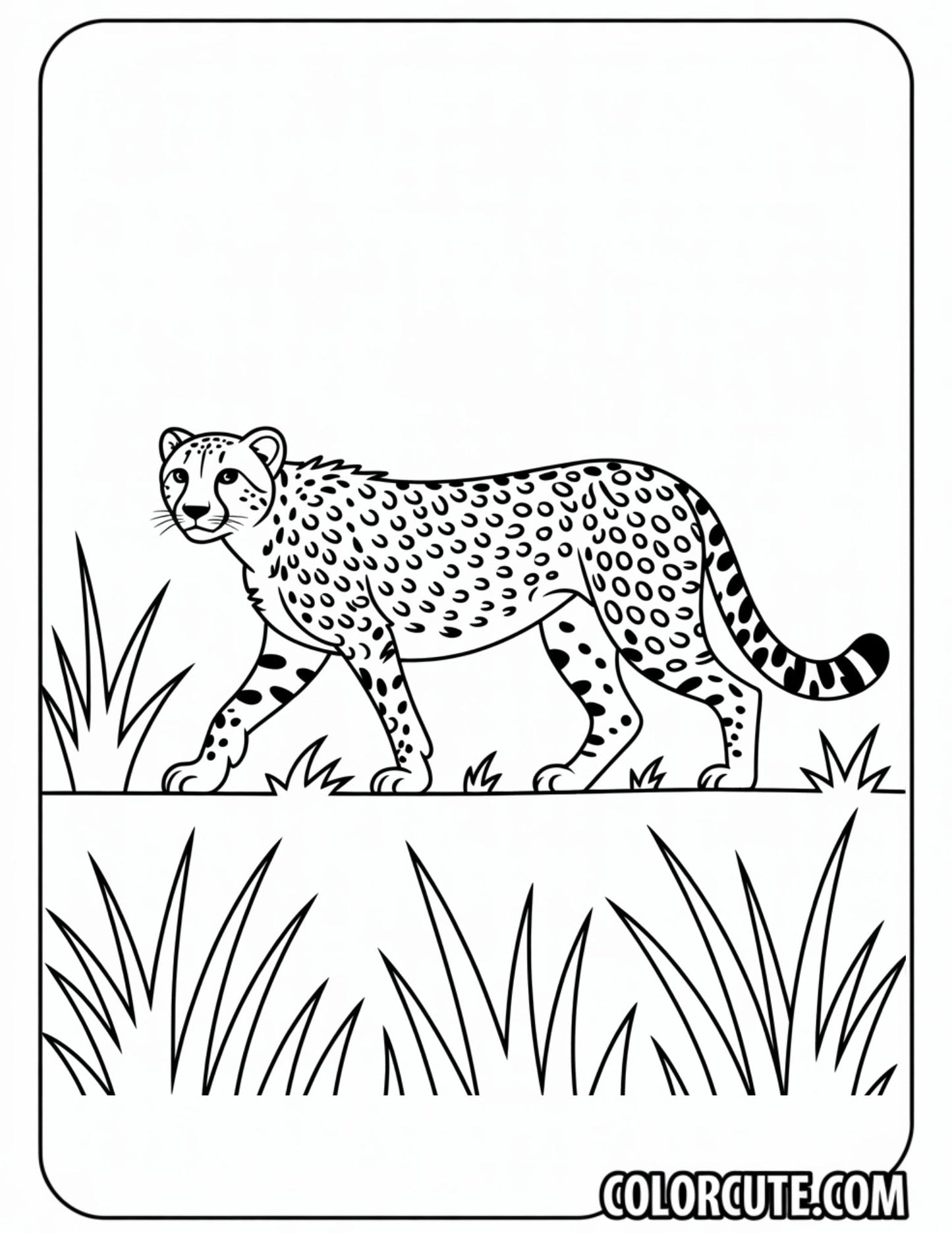 Cheetah Wild Coloring Pages | Free PDF Printables