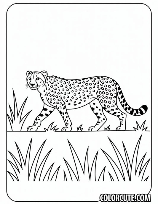 Cheetah Wild Coloring Pages | Free PDF Printables