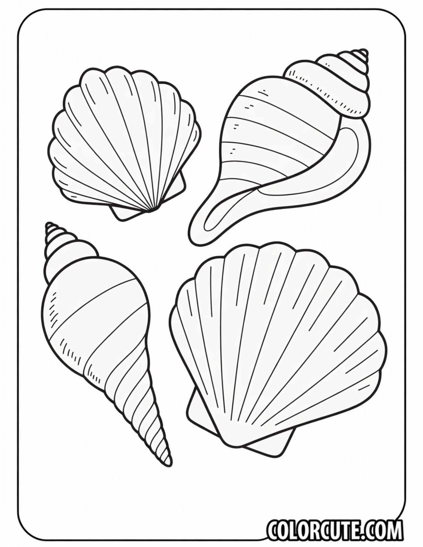 Seashell Summer Coloring Pages | Free PDF Printables