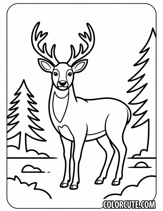Winter Deer Coloring Pages - Free PDF Printables