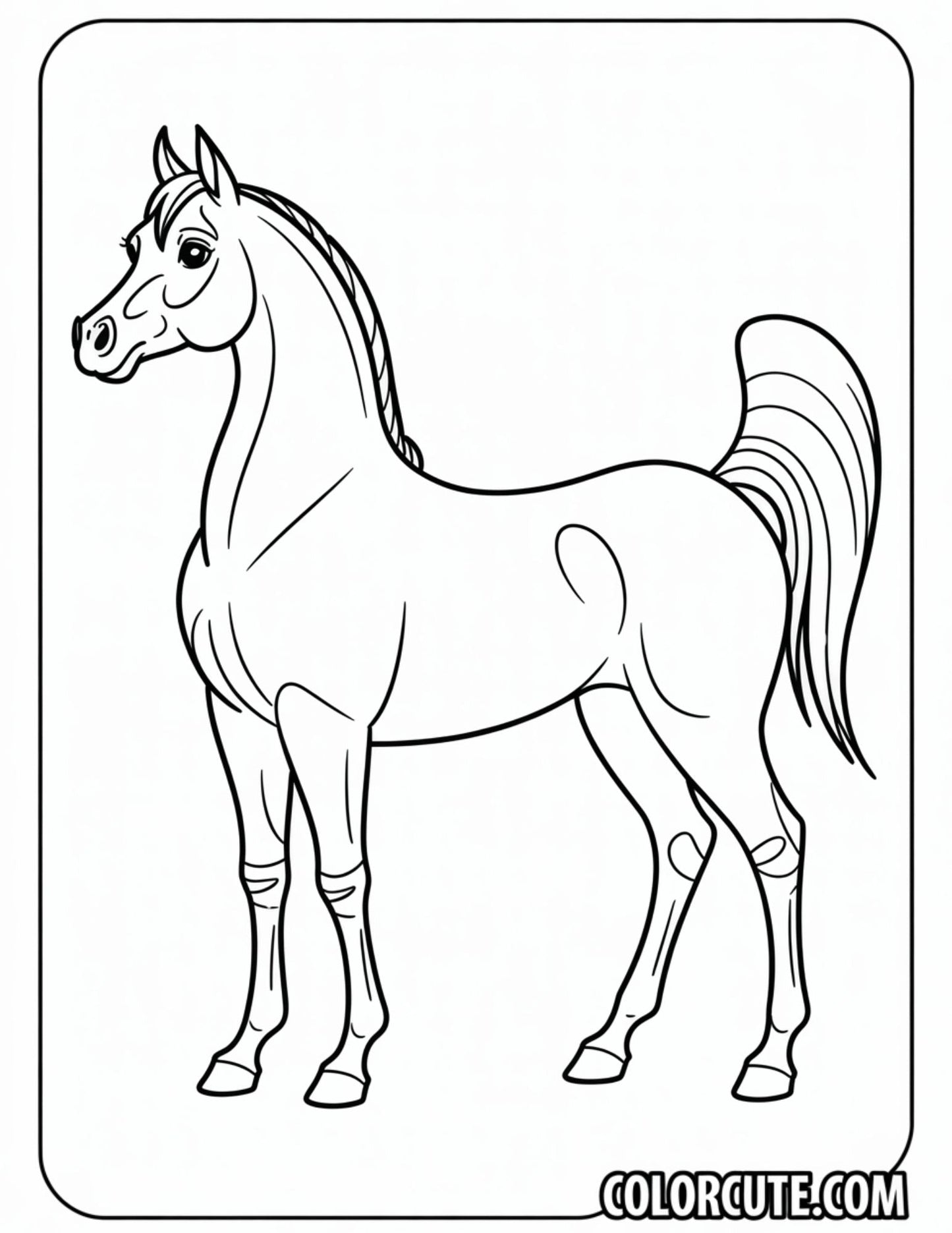 Arabian Horse Coloring Pages | Free PDF Printables