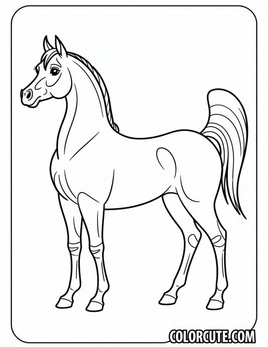 Arabian Horse Coloring Pages | Free PDF Printables