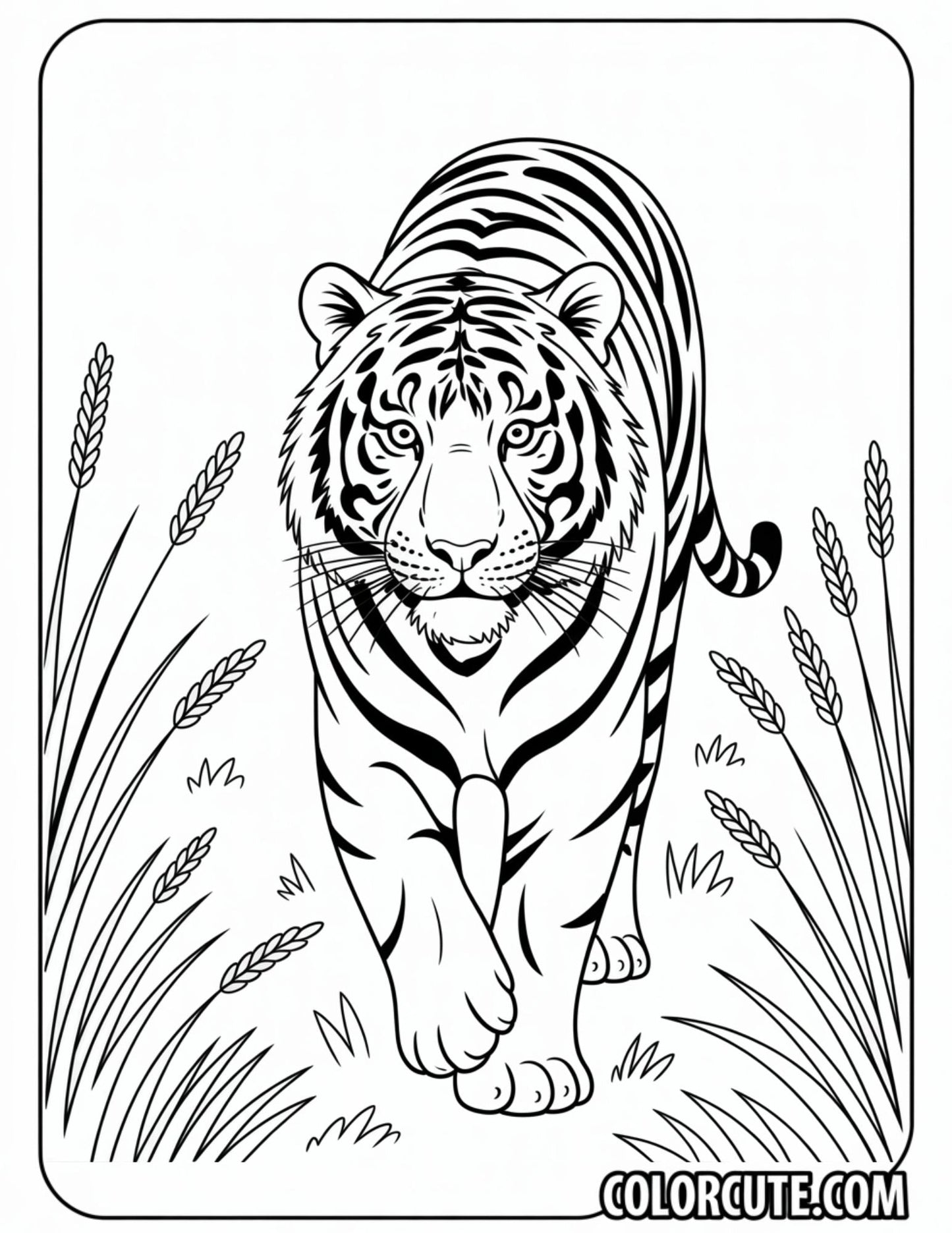 Detailed Tiger Coloring Pages | Free PDF Printables