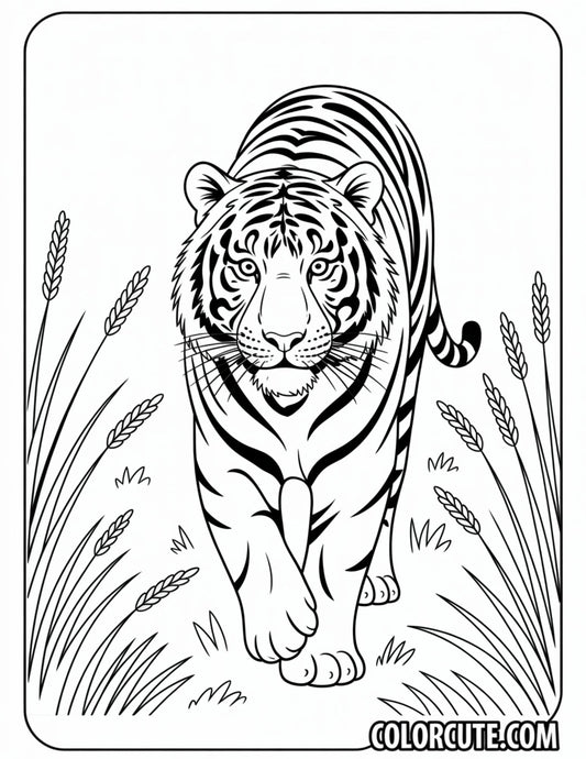 Detailed Tiger Coloring Pages | Free PDF Printables