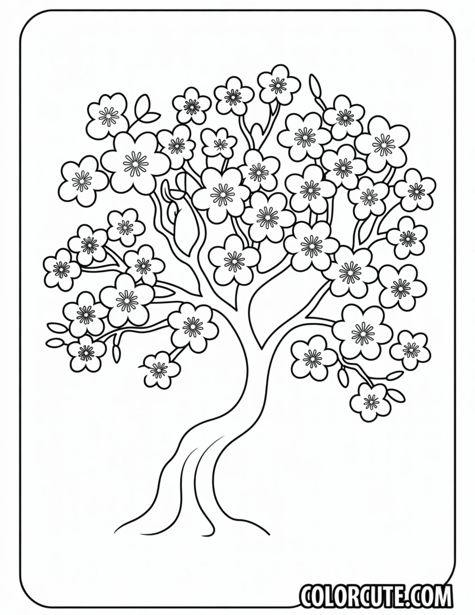 Cherry Blossom Tree Coloring Pages Free PDF Printables Color Cute
