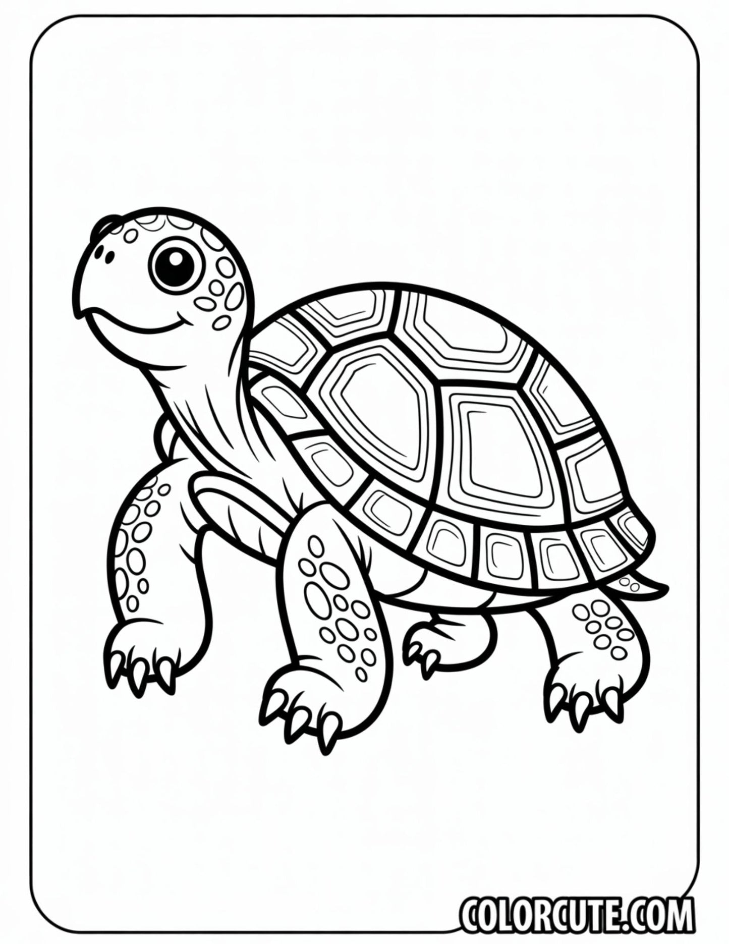 Adult Turtle Coloring Pages | Free PDF Printables