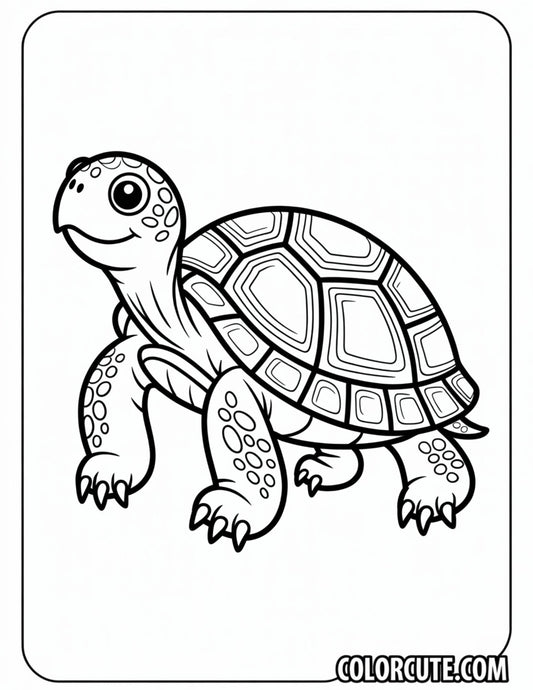 Adult Turtle Coloring Pages | Free PDF Printables