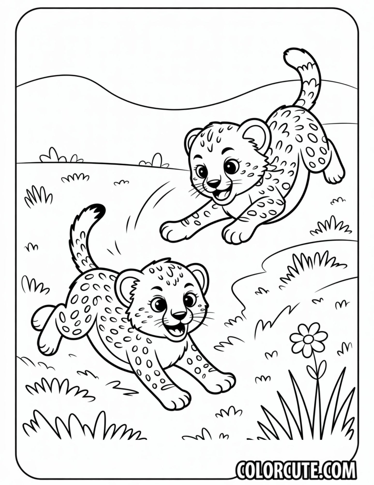 Cheetah Playing Coloring Pages | Free PDF Printables