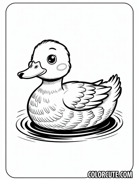 Realistic Duck Coloring Page | Free PDF Printables