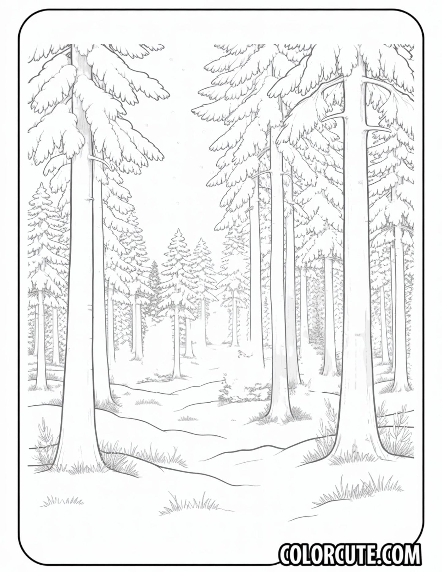 Winter Forest Coloring Pages | Free PDF Printables