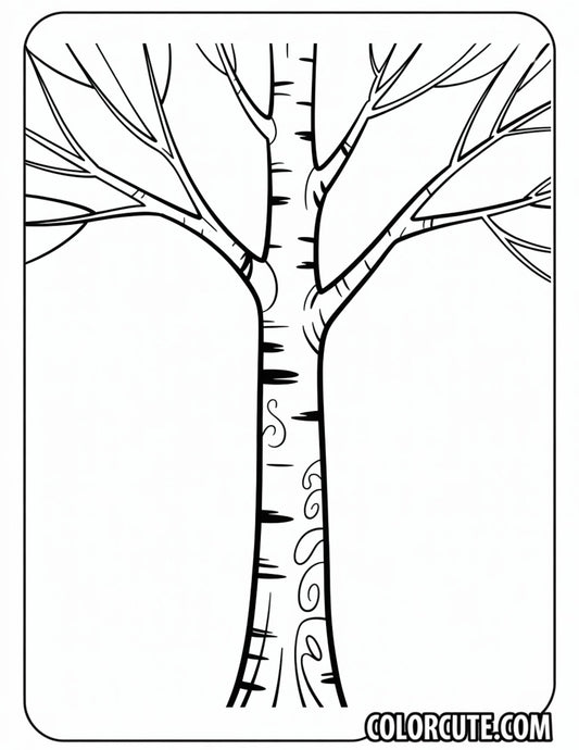 Birch Tree Coloring Pages - Free PDF Printables