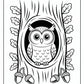 Tree Owl Coloring Pages | Free PDF Printables