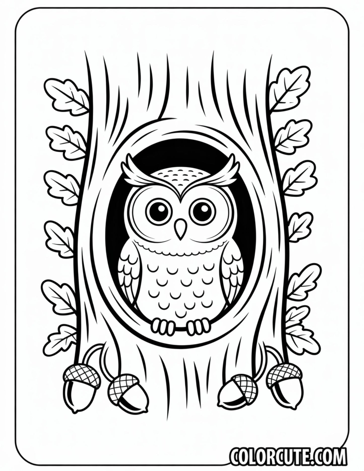 Tree Owl Coloring Pages | Free PDF Printables