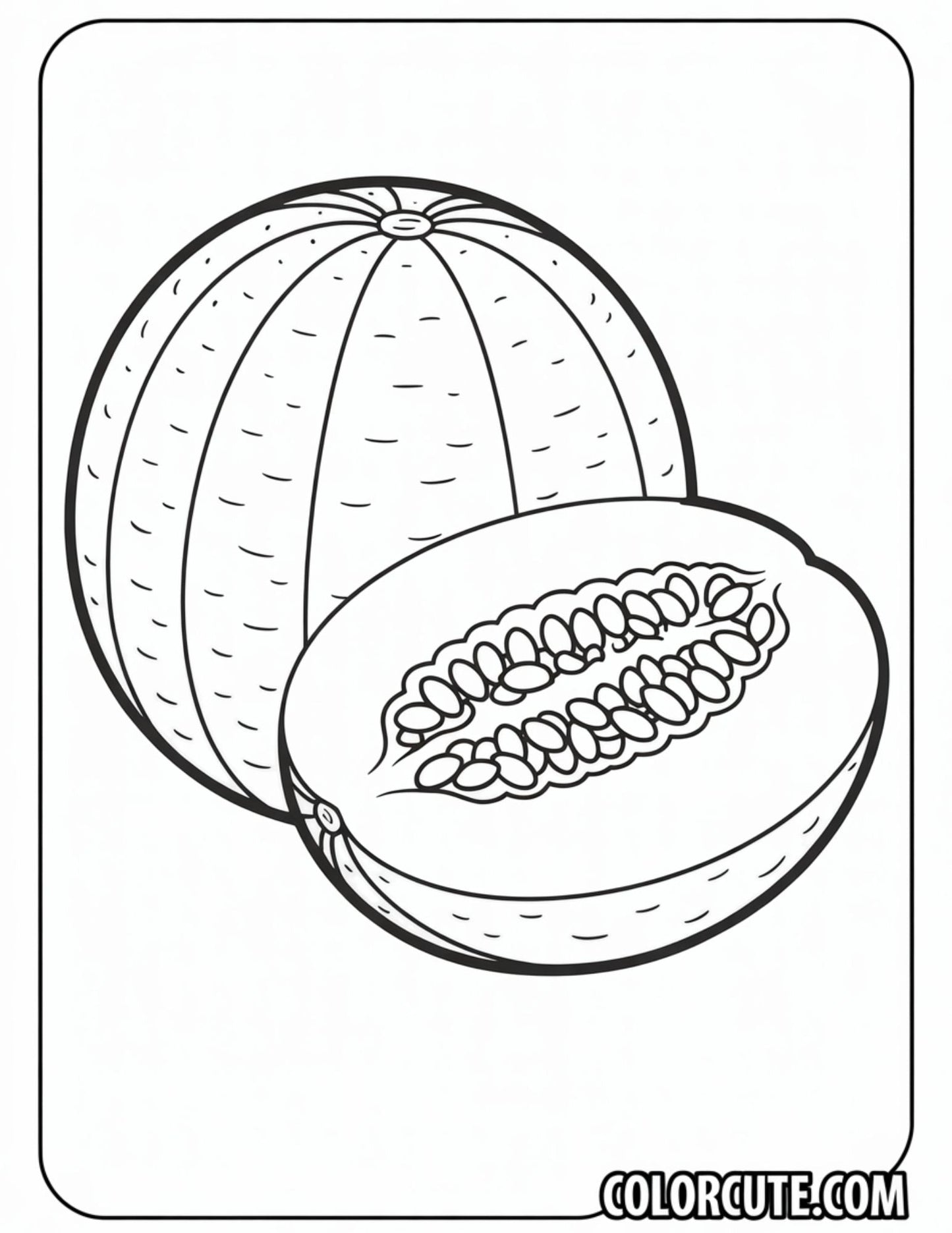 Cantaloupe Coloring Page | Free PDF Printables