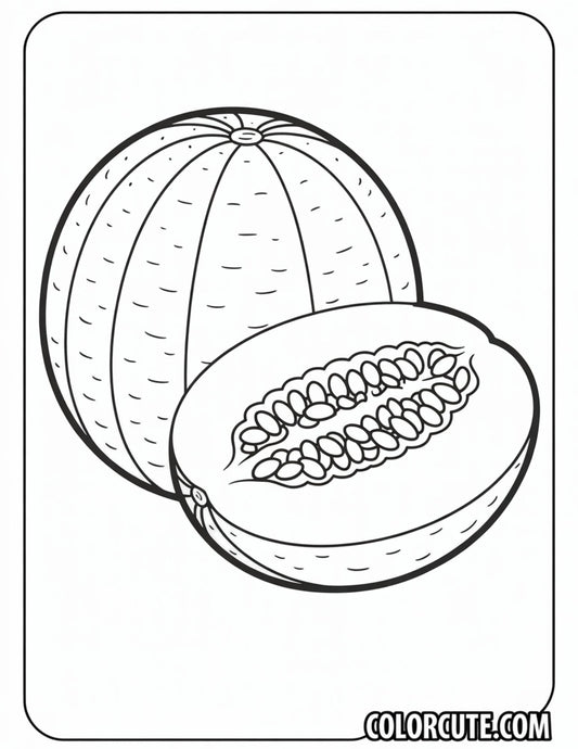 Cantaloupe Coloring Page | Free PDF Printables
