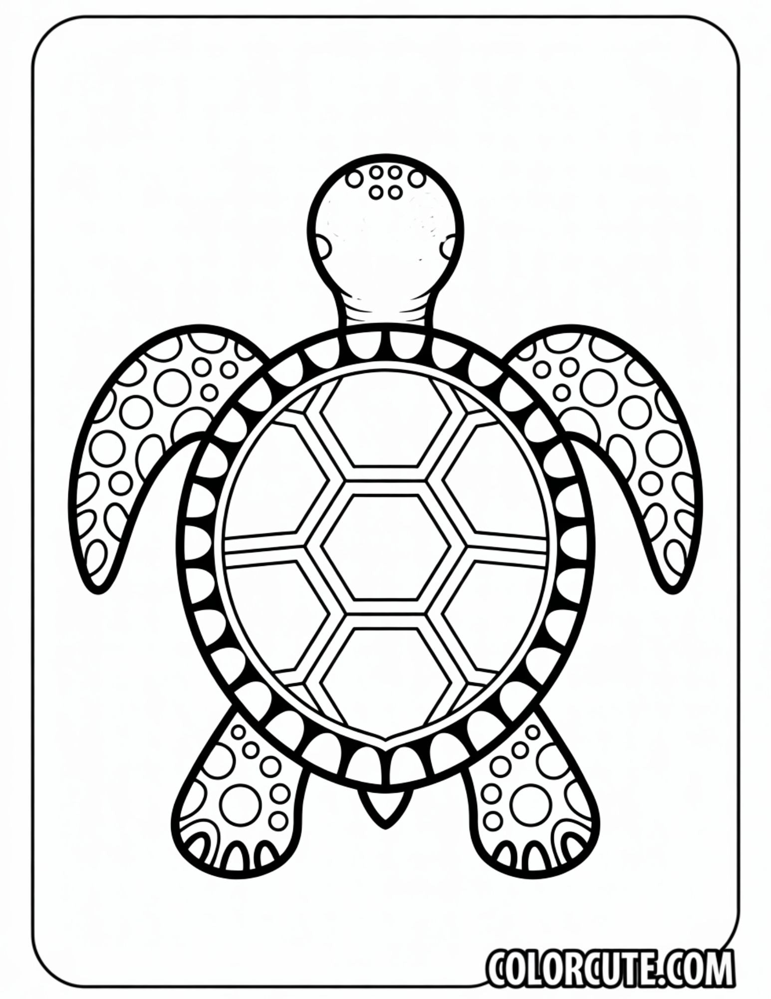Turtle Bold and Easy Coloring Pages | Free PDF Printables – Color Cute ...