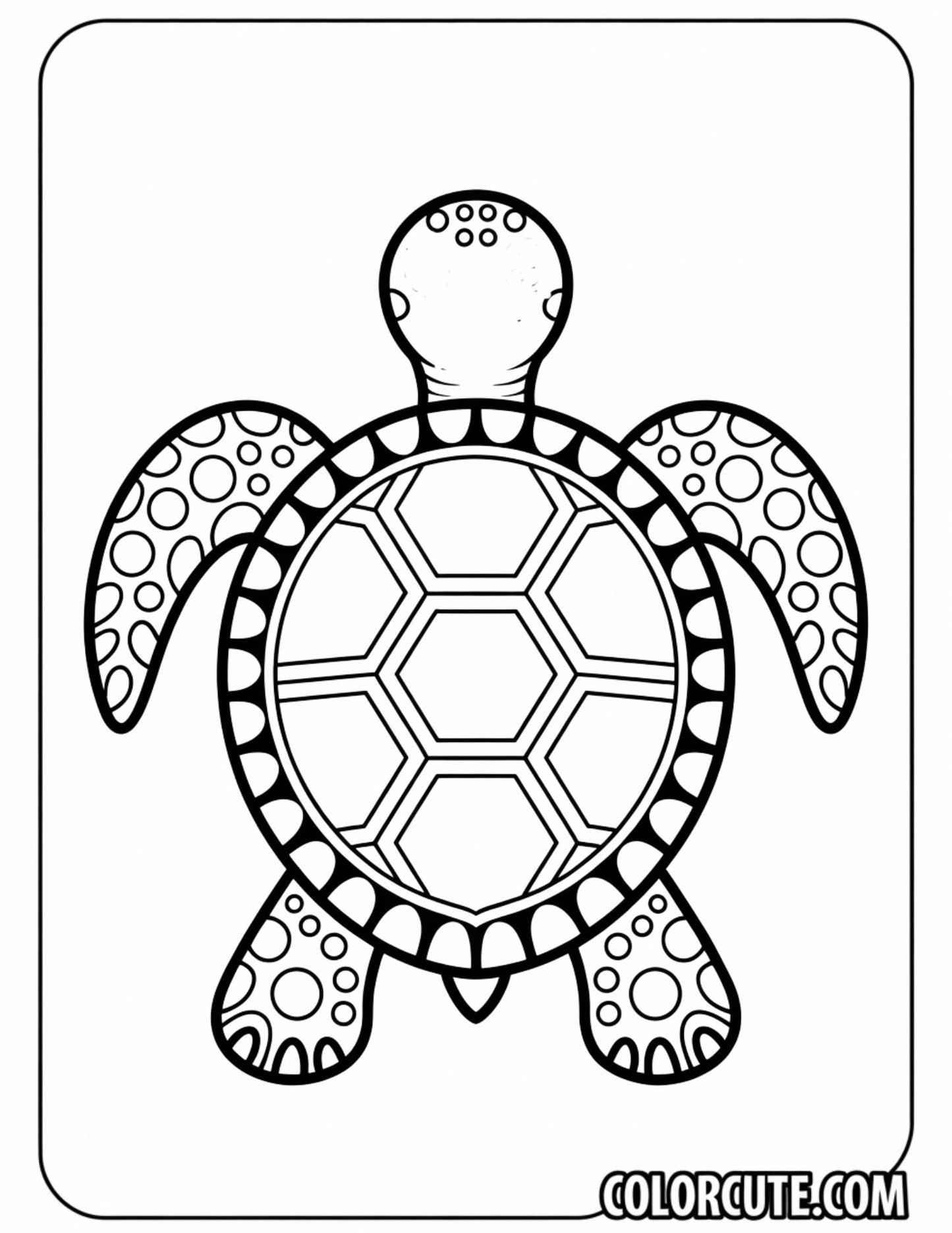 Turtle Bold and Easy Coloring Pages | Free PDF Printables