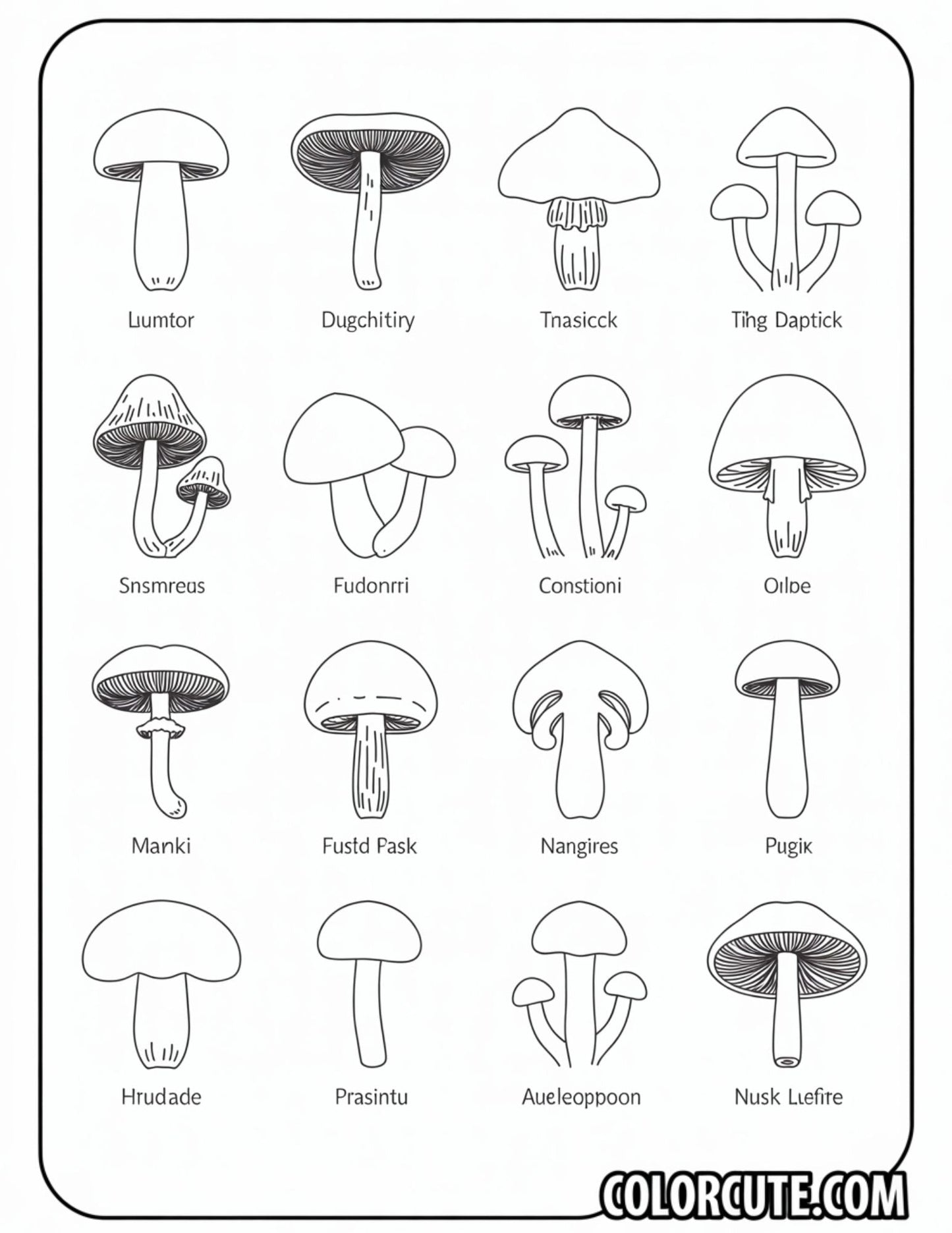 Fungi Species Coloring Pages | Free PDF Printables
