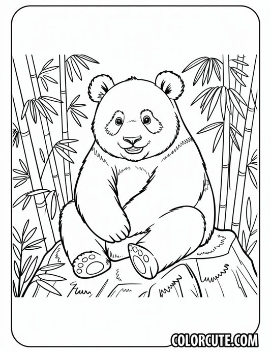 Realistic Panda Coloring Pages | Free PDF Printables