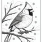 Winter Cardinal Coloring Pages | Free PDF Printables