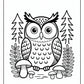 Night Owl Coloring Pages | Free PDF Printables
