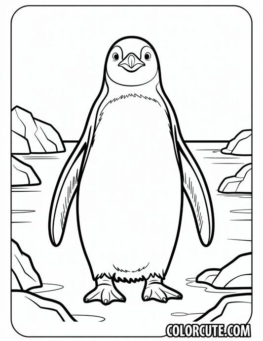 Detailed Penguin Coloring Page | Free PDF Printables
