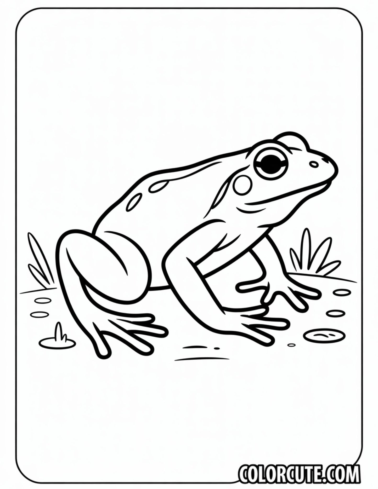 Hard Frog Coloring Pages | Free PDF Printables