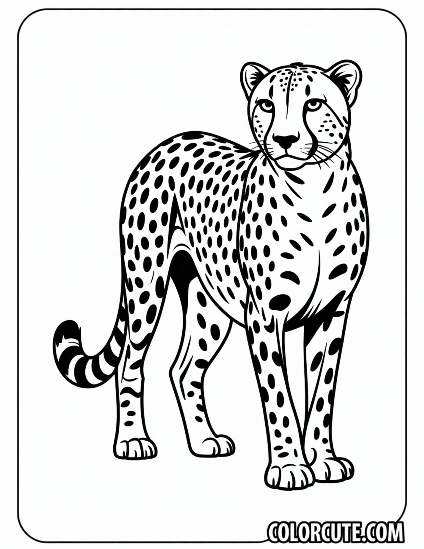 Cheetah Simple Coloring Pages | Free PDF Printables