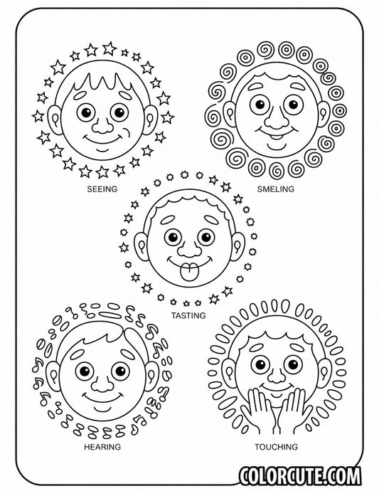 Five Senses Preschool Coloring Pages | Free PDF Printables