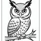 Realistic Owl Coloring Pages | Free PDF Printables