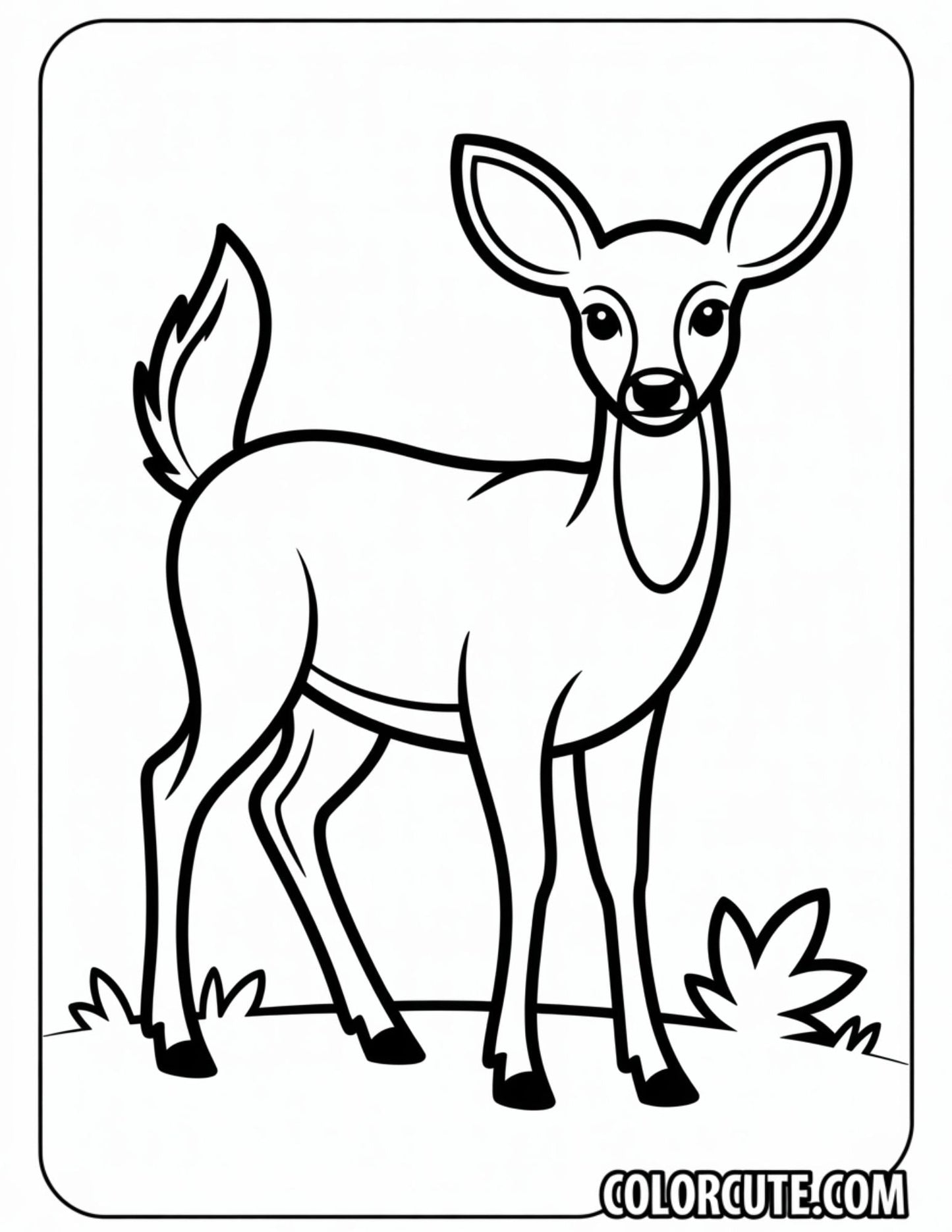 Fawn Deer Coloring Pages - Free PDF Printables