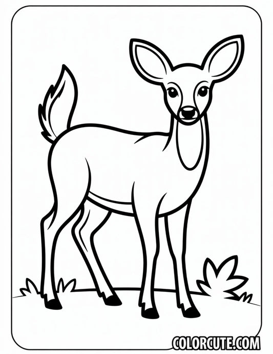 Fawn Deer Coloring Pages - Free PDF Printables