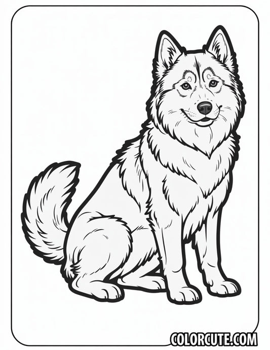 Fluffy Husky Dog Coloring Page | Free PDF Printables