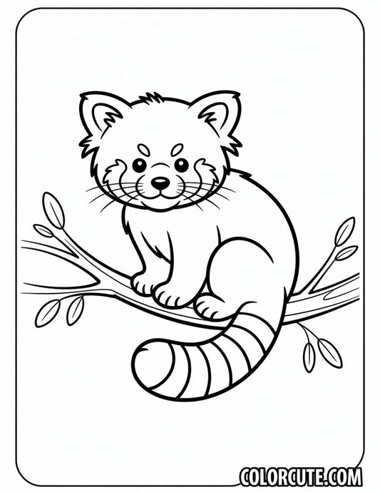Red Panda Coloring Pages | Free PDF Printables