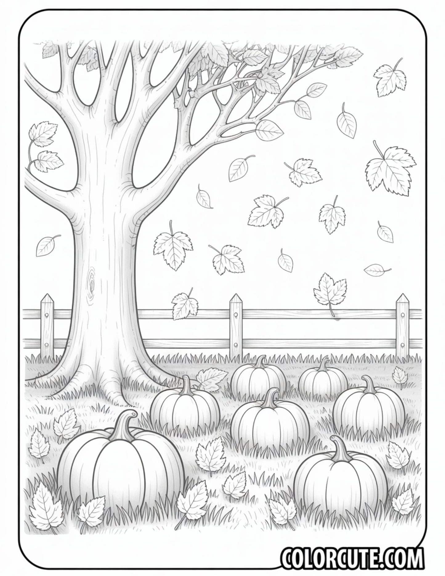 Bold and Easy Fall Coloring Pages | Free PDF Printables