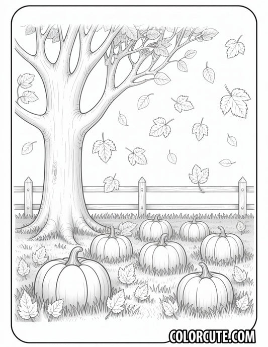 Bold and Easy Fall Coloring Pages | Free PDF Printables