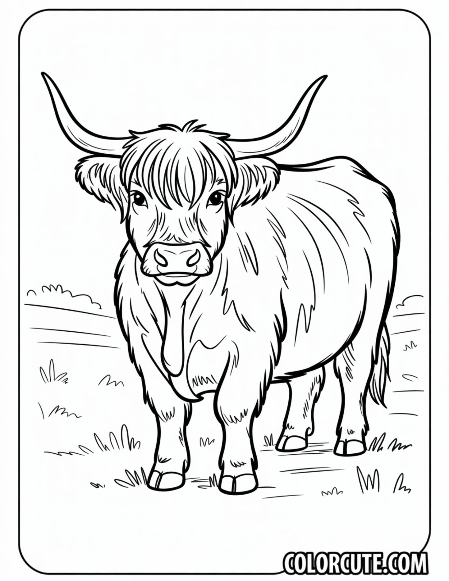 Fluffy Highland Cow Coloring Pages | Free PDF Printables