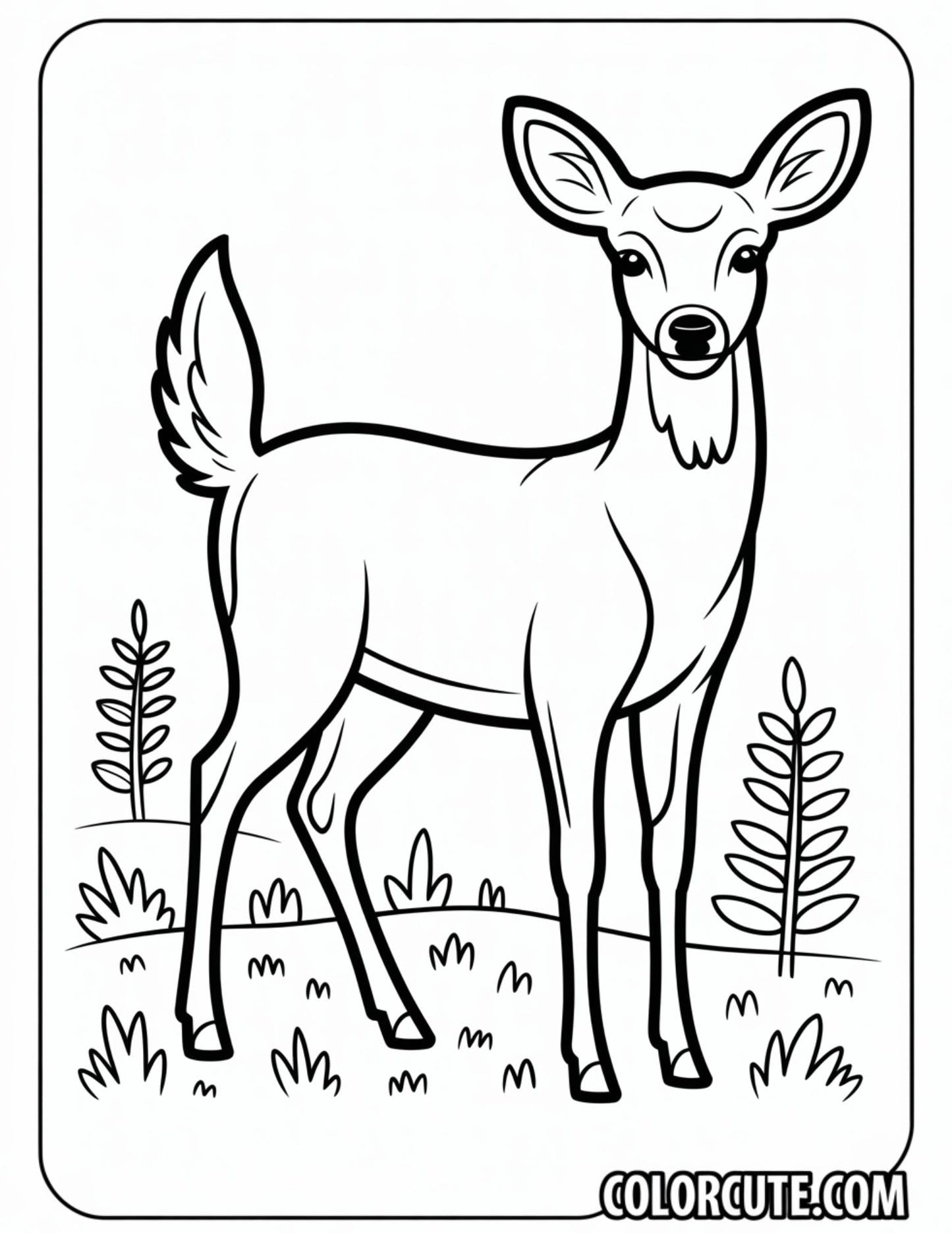 Girl Deer Coloring Pages - Free PDF Printables