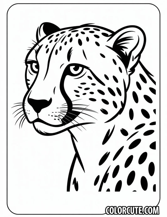 Cheetah Head Coloring Pages | Free PDF Printables