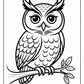 Adult Owl Coloring Pages | Free PDF Printables