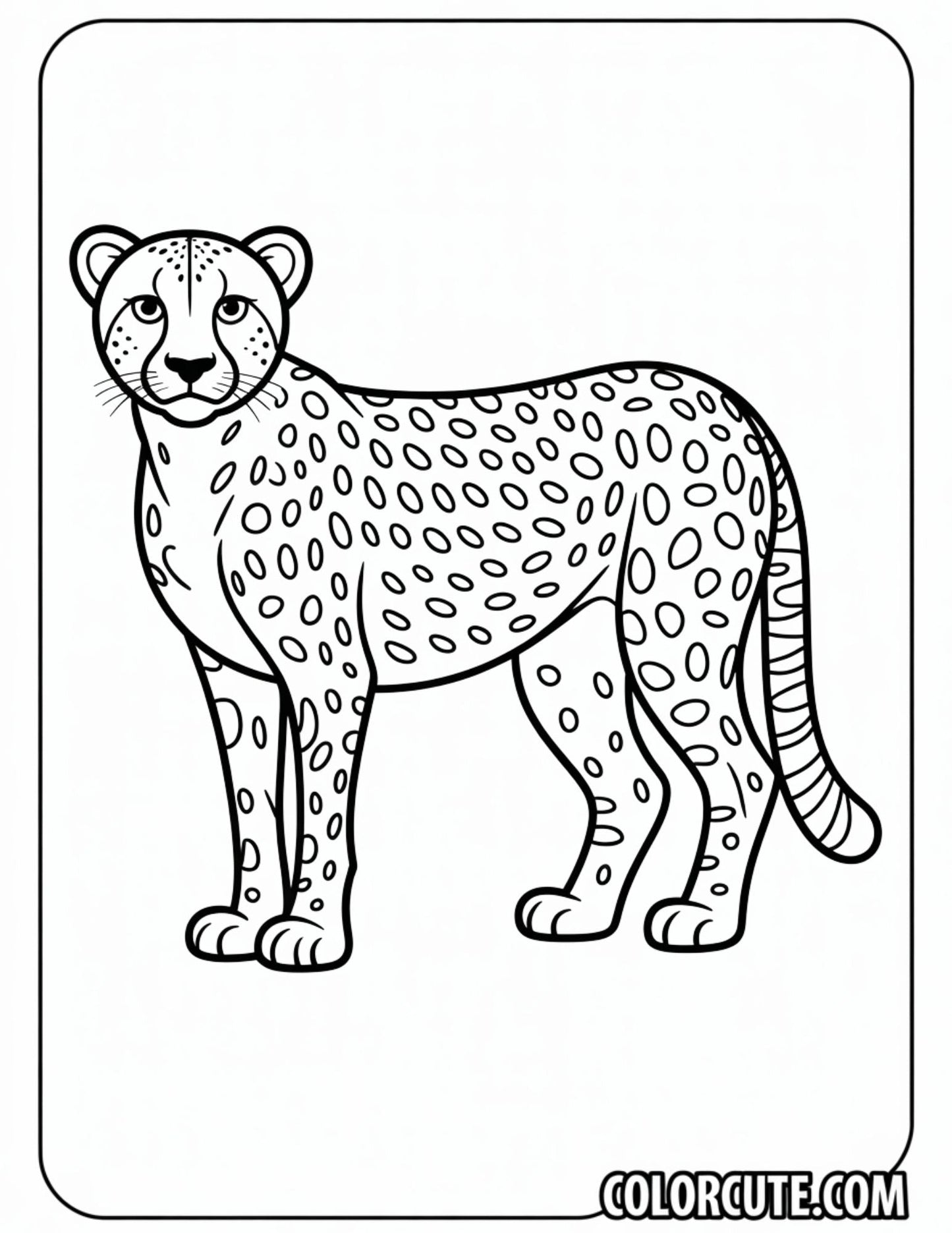 Cheetah Standing Coloring Pages | Free PDF Printables