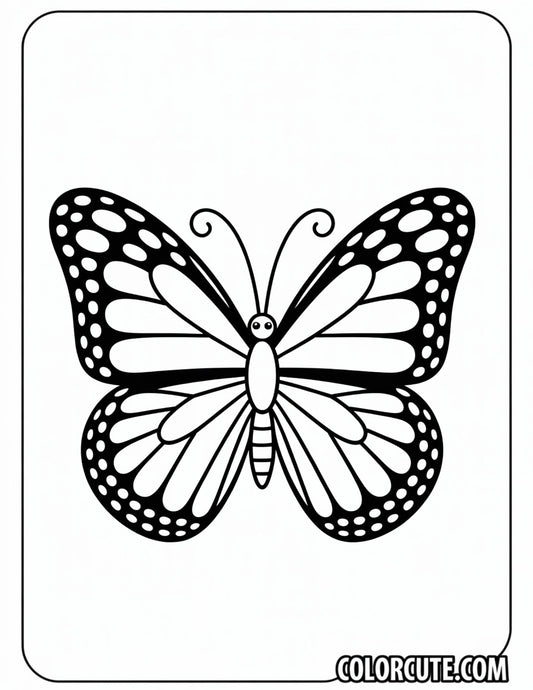 Butterfly Bold and Easy Coloring Pages | Free PDF Printables