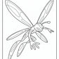 Stinkfly Alien Coloring Pages Free PDF Printables