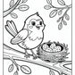 Bird Preschool Coloring Page | Free PDF Printables