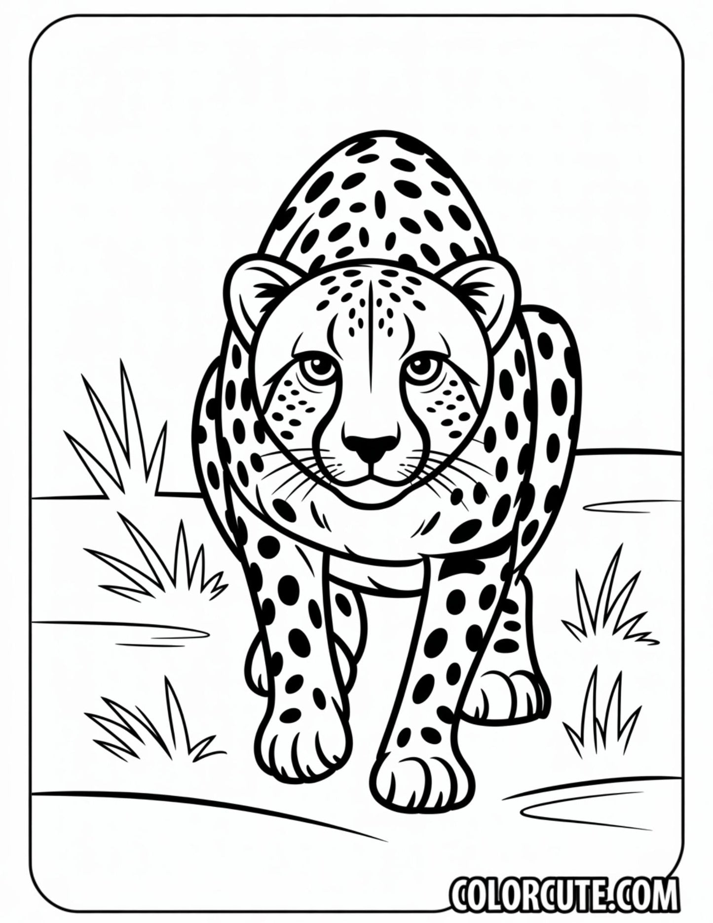 Cheetah Hunting Coloring Pages | Free PDF Printables