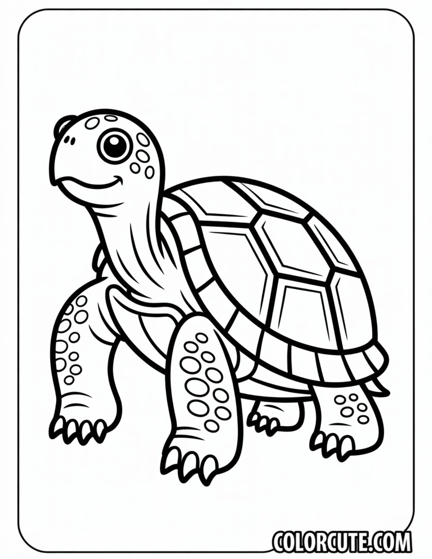 Giant Turtle Coloring Pages | Free PDF Printables