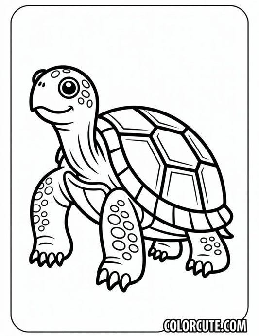 Giant Turtle Coloring Pages | Free PDF Printables