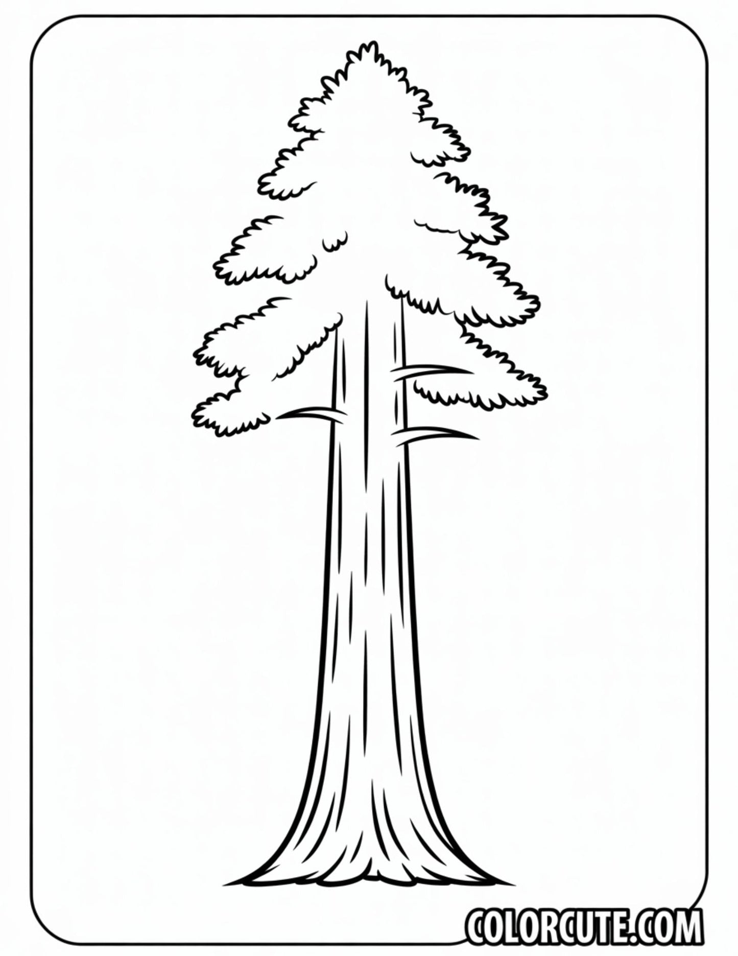 Redwood Tree Coloring Pages - Free PDF Printables