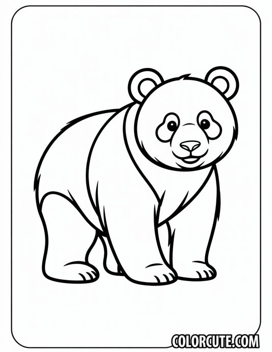 Adult Panda Coloring Pages | Free PDF Printables