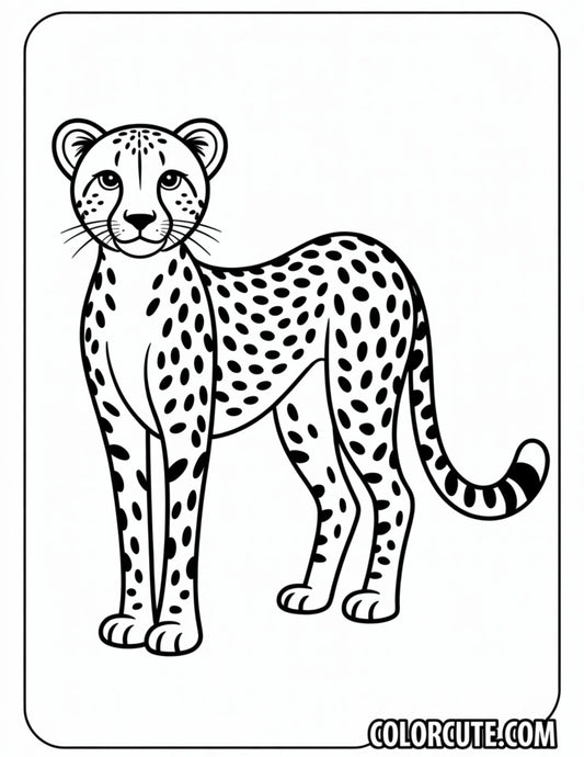 Cheetah Prowling Coloring Pages | Free PDF Printables